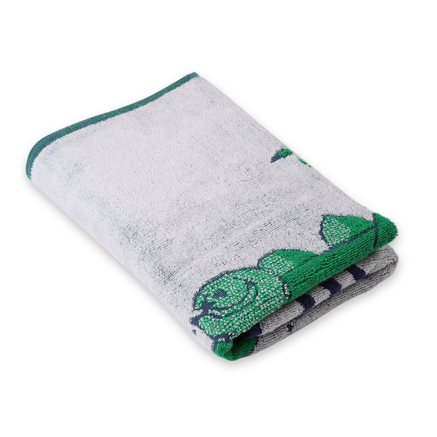 Dinosaur Towel